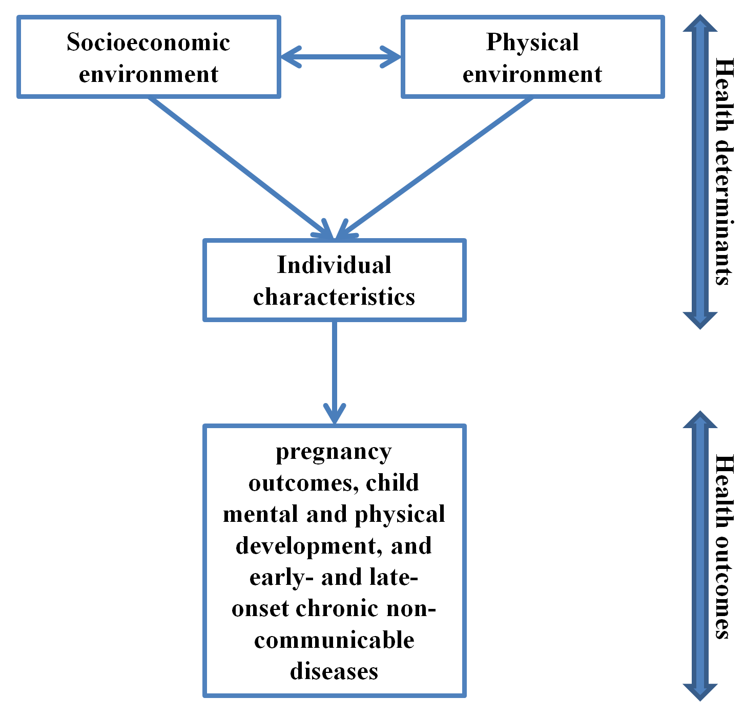 Health determinants and outcomes covered by the project