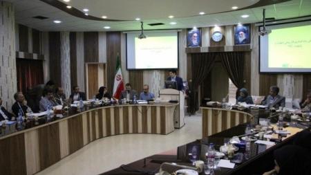 Meeting on Isfahan Birth Cohort protocol and implementation of the pilot study